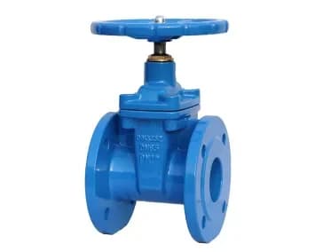 Gate Valves